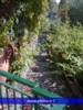 private street  to the beach.jpg