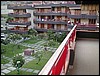 g garden.jpg