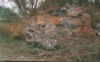 3 view during excursion.jpg