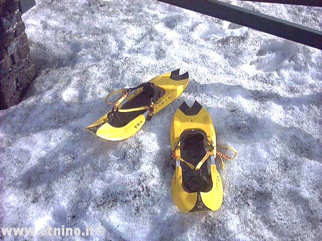 1racket for snow.jpg