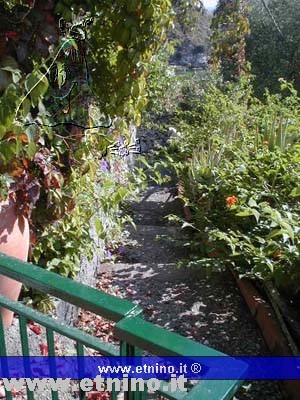 private street  to the beach.jpg