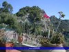 view & flowers from terrace.jpg