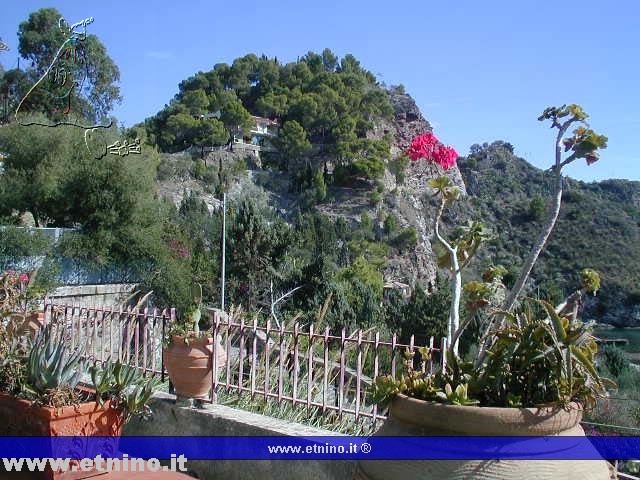 view & flowers from terrace.jpg