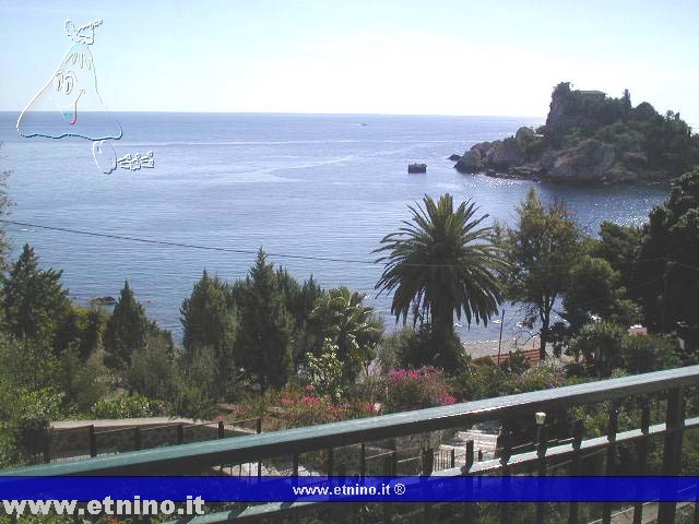 view from terrace_d.jpg